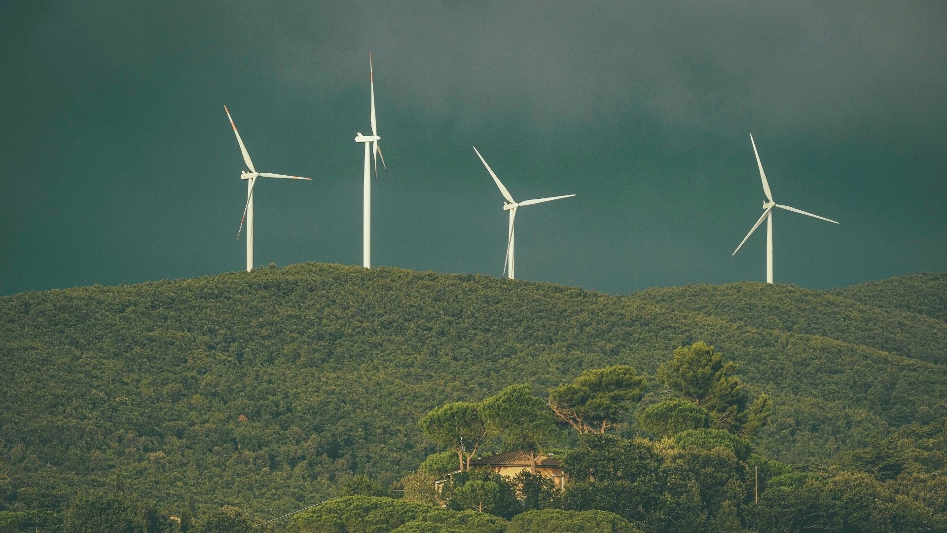 Wind turbines on green hills